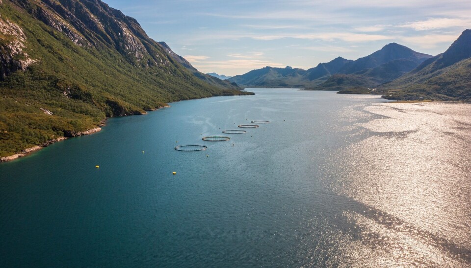 En av Vesterålen Havbruk sin lokaliteter. En av Vesterålen Havbruk sin lokaliteter.