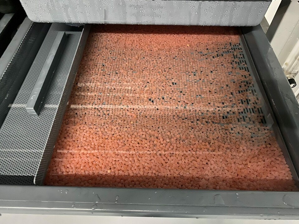 Rogn hos Skagen Salmon Rogn hos Skagen Salmon