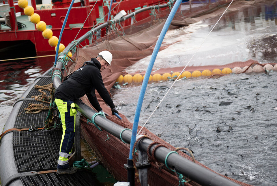 - Jonas Bergman, adm. dir. i Redox.