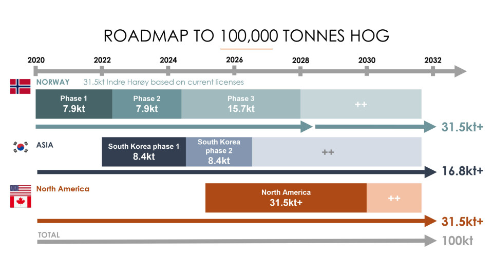 Fremdriftsplaner i selskapet per januar 2023. Fremdriftsplaner i selskapet per januar 2023.