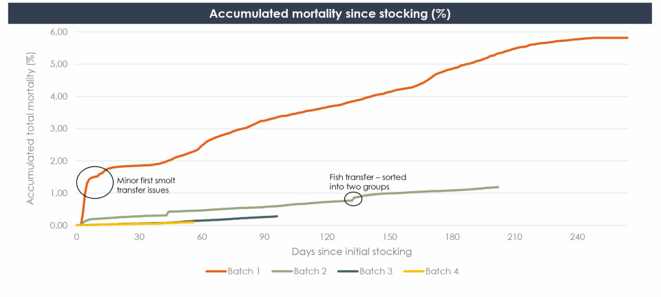 Utvikling i dødelighet i de ulike batchene per januar 2023.