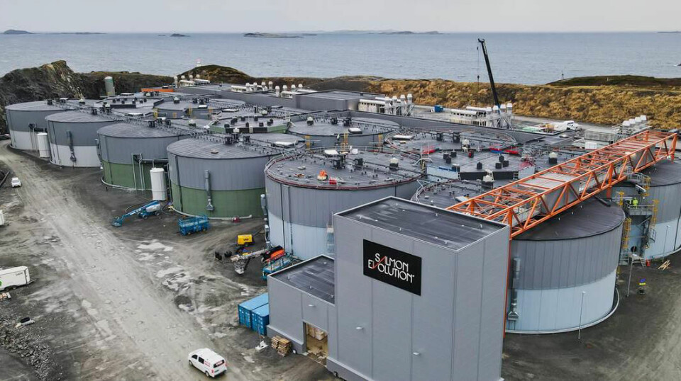 Salmon Evolution Indre Harøy fase 1 var ferdigbygget i april. Nå skal de til med andre byggetrinn, som ventes ferdigstilt i 2025 og vil doble årlig produksjonskapasitet til 15 800 tonn.