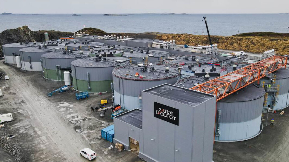 Salmon Evolution Indre Harøy fase 1 var ferdigbygget i april. Nå skal de til med andre byggetrinn, som ventes ferdigstilt i 2025 og vil doble årlig produksjonskapasitet til 15 800 tonn. Salmon Evolution Indre Harøy fase 1 var ferdigbygget i april. Nå skal de til med andre byggetrinn, som ventes ferdigstilt i 2025 og vil doble årlig produksjonskapasitet til 15 800 tonn.