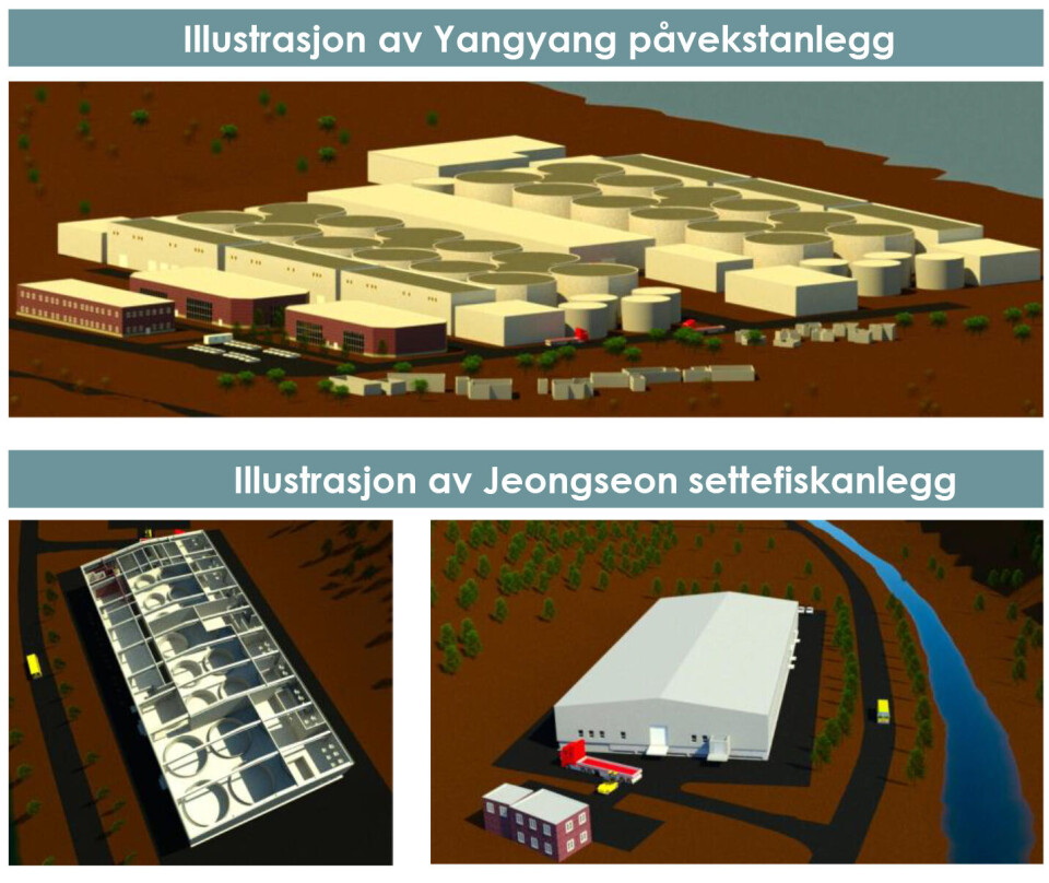Salmon Evolutions Anlegg i Sør-Korea.