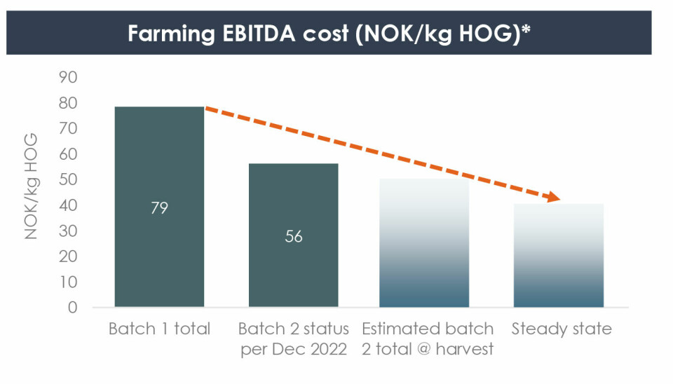 Reelle (batch 1) og estimerte produksjonskostnader på de første utsettene. * Estimert oppdrettskostnad i NOK/kg (HOG) inkludert slaktekostnad, men eksklusiv G&A allokert til oppdrettssegmentet
