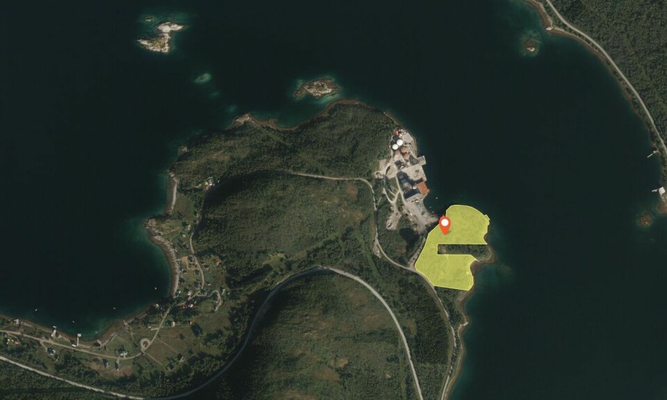Tomten på Husvikneset i Sortland Kommune der Holmøy Settefisk skal bygge settefiskanlegg når tillatelsen blir godkjent.
