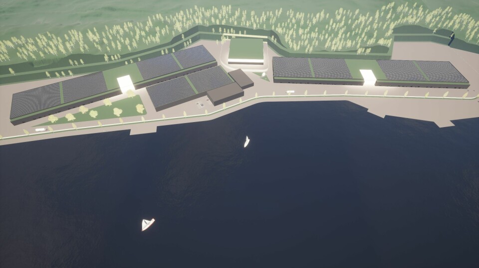 Viking Aquas anlegg i i Skipavika i Gulen vil strekke seg over 90 000 kvm.