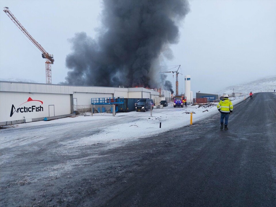 Brannvesenet Patreksfjördur, Bíldudal og Tálknafjördurs mange timer lange kamp mot en brann i lokalene til akvakulturselskapet Arctic Fish/Artic Smolt, ga dem til slutt kontroll over brannen. Brannvesenet Patreksfjördur, Bíldudal og Tálknafjördurs mange timer lange kamp mot en brann i lokalene til akvakulturselskapet Arctic Fish/Artic Smolt, ga dem til slutt kontroll over brannen.