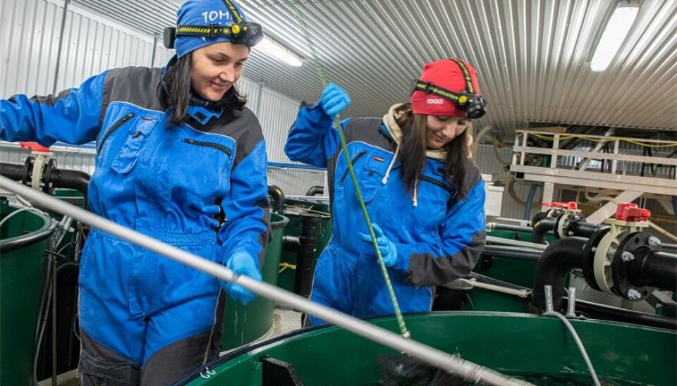 Røktere Iryna Johansen og Julia Solbakken steller med fisken.