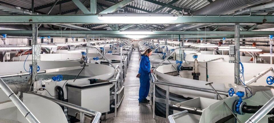 Spytter inn store penger i utvikling av anlegget