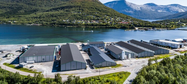 Brann reduserte produksjonen