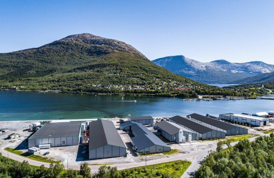 Sisomar ligger i Sørfold kommune og har en tillatelse til produksjon av 12 millioner smolt. Sisomar ligger i Sørfold kommune og har en tillatelse til produksjon av 12 millioner smolt.