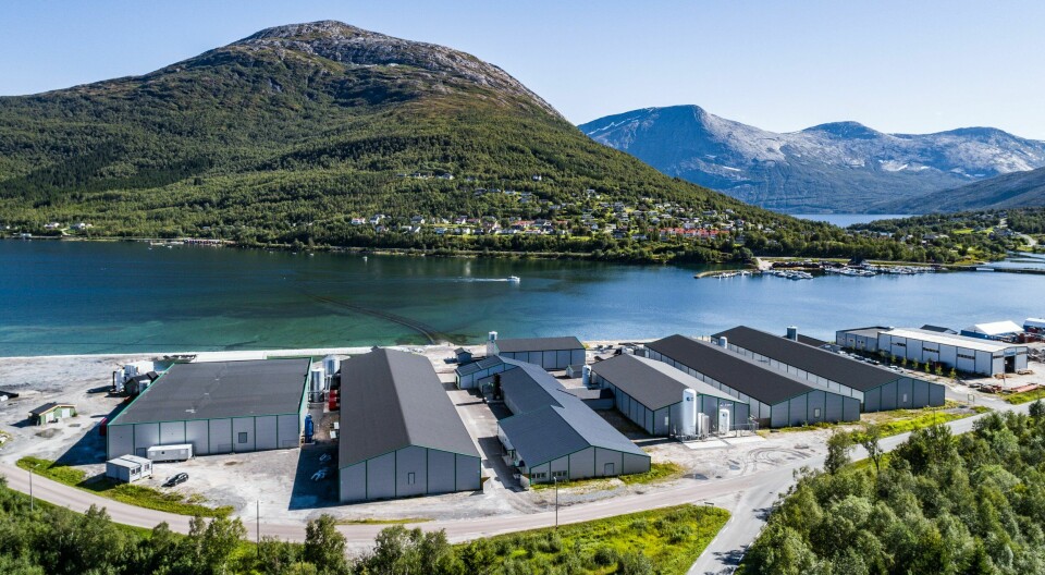 Sisomar ligger i Sørfold kommune og har en tillatelse til produksjon av 12 millioner smolt. Nå vil de øke dette.