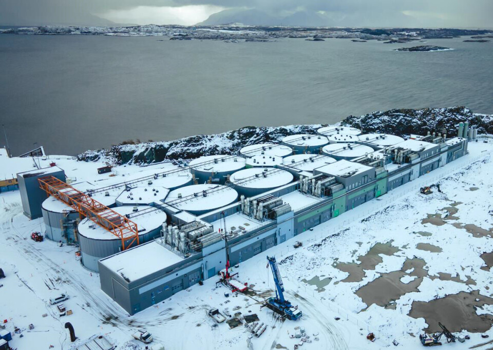 Etter omfattende overføringer av fisk i februar og begynnelsen av mars, er 9 av 12 tanker i bruk hos Salmon Evolution på Indre Harøy Etter omfattende overføringer av fisk i februar og begynnelsen av mars, er 9 av 12 tanker i bruk hos Salmon Evolution på Indre Harøy
