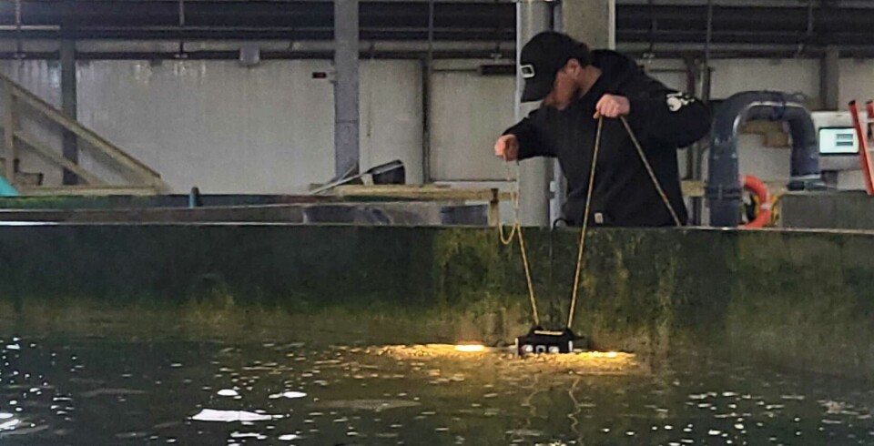 ReelData-ingeniør plasserer biomasse-kameraet i en tank for testing.