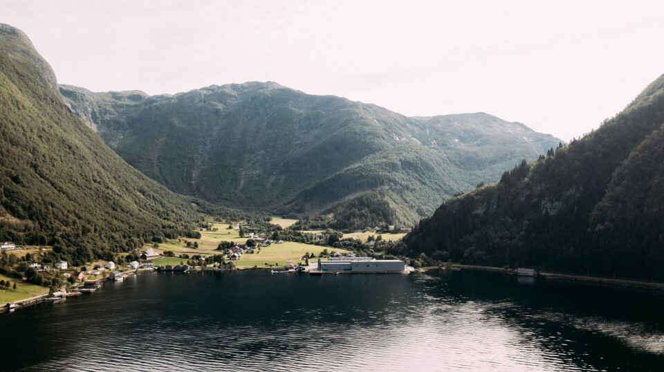 Mowi ønsker å øke gjennomsnittsstørrelsen på settefisken. Bildet viser Mowi Steinsvik i Volda Kommune i Møre og Romsdal.