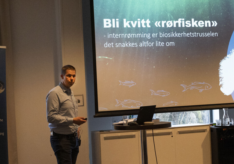 Rørfisk kan være et potensielt smitteproblem. Frode Finne-Fridell, leder av fiskehelseavdelingen i Pure Salmon Kaldnes mener det bør høyere opp på dagsordenen. Rørfisk kan være et potensielt smitteproblem. Frode Finne-Fridell, leder av fiskehelseavdelingen i Pure Salmon Kaldnes mener det bør høyere opp på dagsordenen.