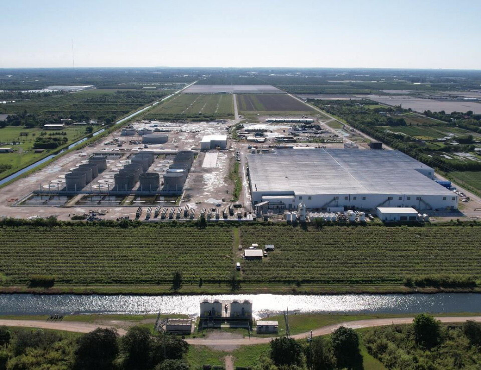 Atlantic Sapphires anlegg i Miami per februar 2023. Til venstre ser man utbyggingen av fase 2