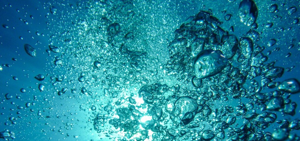 Boblelufting i biofilteret og effekt på nitrogenfjerning