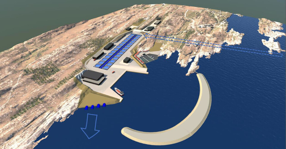 Fiskeridirektoratet har uttalt seg om matfiskplaner på Averøy