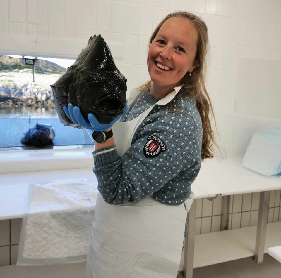 Trude Caroline Halvorsen, driftsleder i Sørøya Rensefisk. Fisken på bildet er avlivet.