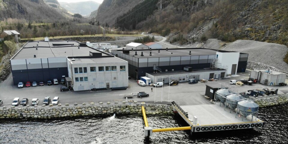 Tytlandsvik Aqua ligger i Hjelmeland kommune i Rogaland.