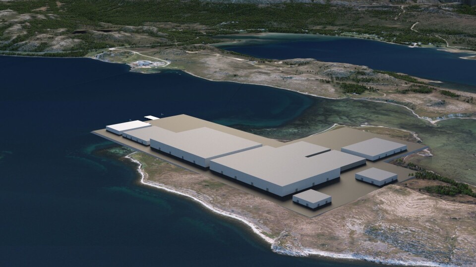 Denvo er i planleggingsfasen av et nytt matfiskanlegg med tilgang på gode naturressurser i Porsanger kommune. Selskapet har 300 mål på Klubben under regulering til disposisjon for et landbasert oppdrettsanlegg til Flekksteinbit. Denvo er i planleggingsfasen av et nytt matfiskanlegg med tilgang på gode naturressurser i Porsanger kommune. Selskapet har 300 mål på Klubben under regulering til disposisjon for et landbasert oppdrettsanlegg til Flekksteinbit.