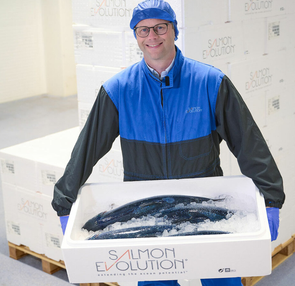 Odd Frode Roaldsnes er kommersiell direktør i Salmon Evolution