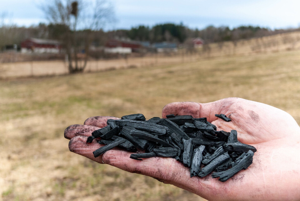 Biokull: Hvis biokull pløyes ned i jorda, kan det lagre karbonet i mange hundre år i stedet for at det slippes ut i atmosfæren som karbondioksid. Biokull: Hvis biokull pløyes ned i jorda, kan det lagre karbonet i mange hundre år i stedet for at det slippes ut i atmosfæren som karbondioksid.