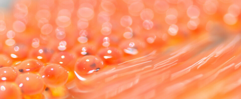 Tilbakekjøper aksjer for 430 millioner