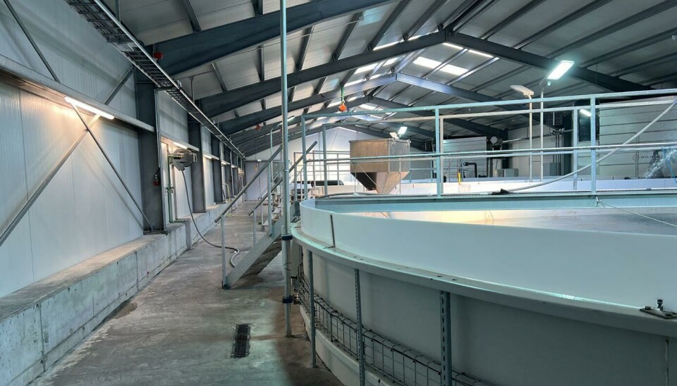 Ice Fish Farm har planer om å produsere mer smolt i årene som kommer. Det blir nødvendig dersom selskapet skal nå sine slakteplaner. Ice Fish Farm har planer om å produsere mer smolt i årene som kommer. Det blir nødvendig dersom selskapet skal nå sine slakteplaner.