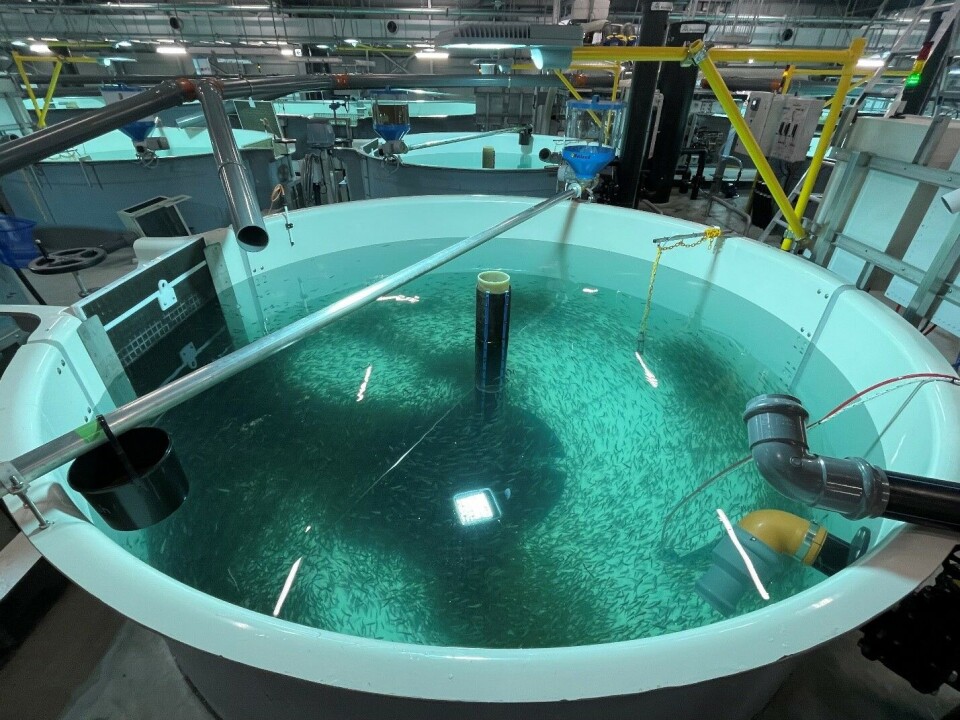 Proximar Seafood per april 2023