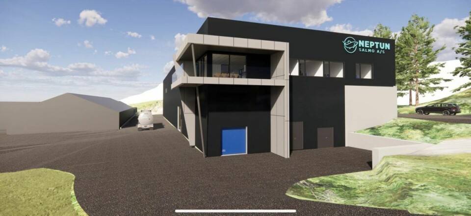 Tegning av Neptun Salmos planlagte nybygg.