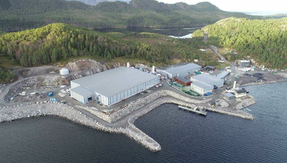 Bilde som viser etablert produksjonsanlegg på Nordheim (høsten 2018). Sagvikvatnet øverst i
bildet.