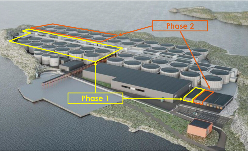 Showcasing the phases of the expansion.