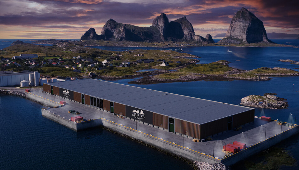 Anlegget til Gaia Salmon skal stå klar allerede i mai 2024.