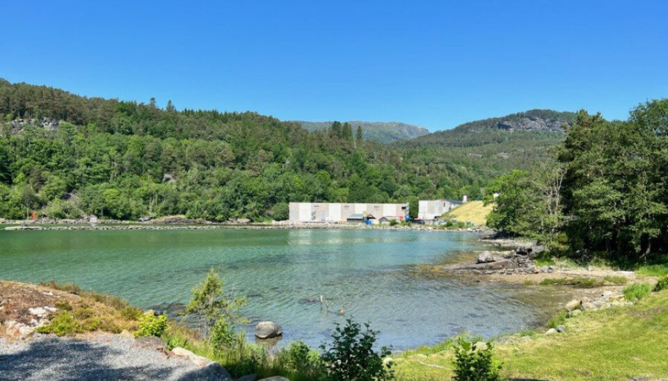 Biofish holder til i Tørvikbygd i Hardanger i Vestland fylke Biofish holder til i Tørvikbygd i Hardanger i Vestland fylke