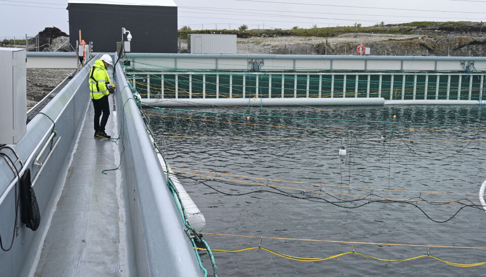 I dette bassenget har Andfjord Salmon produsert landbasert laks. Selskapet jobber med å utvide kapasiteten.