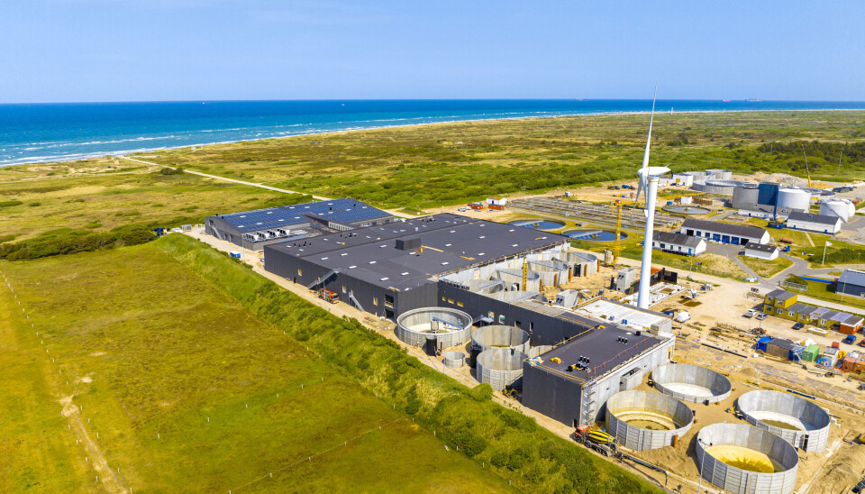 Skagen Salmon i Danmark bygges i disse dager med kombinerte erfaringer innen RAS-teknologi
fra Skagen Salmon i samråd med North Aquaculture. Anlegget slaktet fisk for første gang i slutten
av juni i år, og er ferdig bygget til neste år.