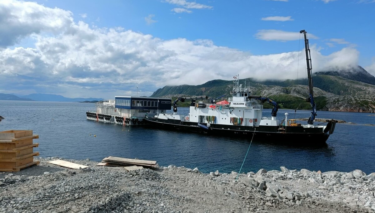 Ny fôrflåte ankommet Rødøy