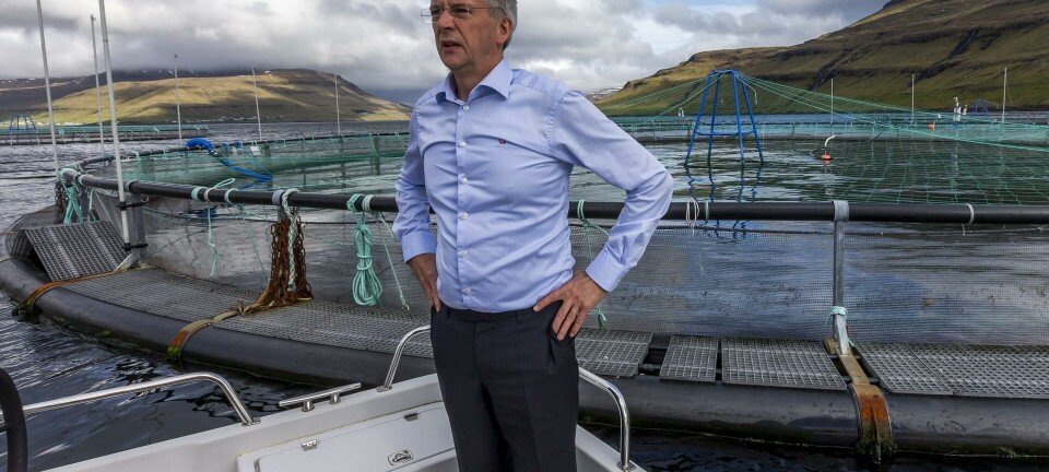 Bakkafrost counts cost of Scottish operation losses
