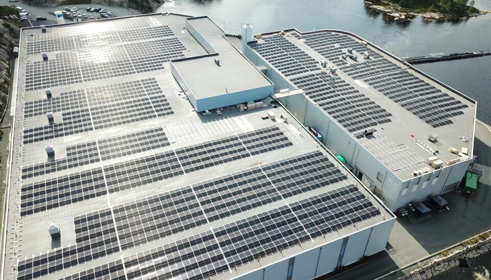 Lerøy Sjøtrolls smoltanlegg: Kjærelva.