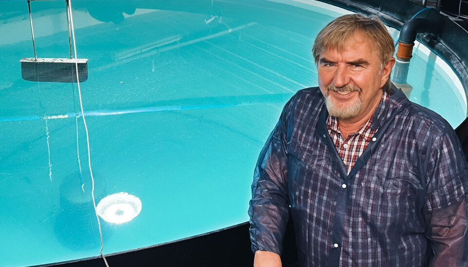John Helge Inderdal er daglig leder i Tydal Settefisk.