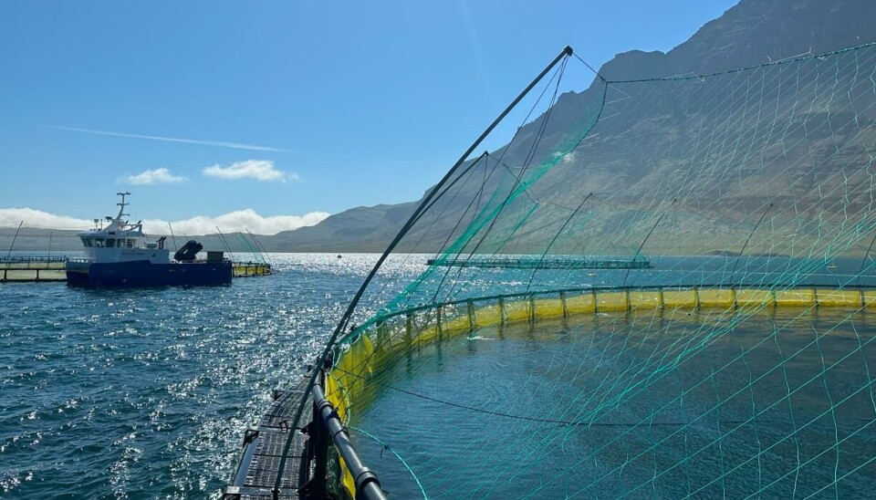 En av Ice Fish Farm sine lokaliteter. En av Ice Fish Farm sine lokaliteter.