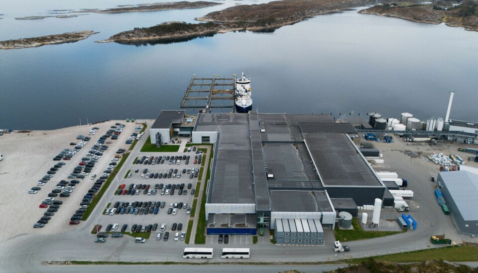 Blant investeringer SalMar har lagt til side er en investering på ca. to milliarder kroner for utbygging av InnovaMar på Frøya