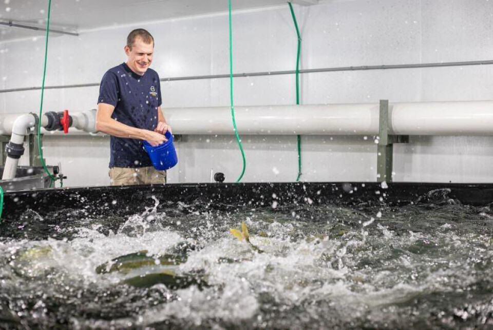 De generelle fôrprisene har gått opp, men en forbedret biologisk ytelse i kombinasjon med introduksjon av nye fôrformuleringer har oppveiet mye. De generelle fôrprisene har gått opp, men en forbedret biologisk ytelse i kombinasjon med introduksjon av nye fôrformuleringer har oppveiet mye.