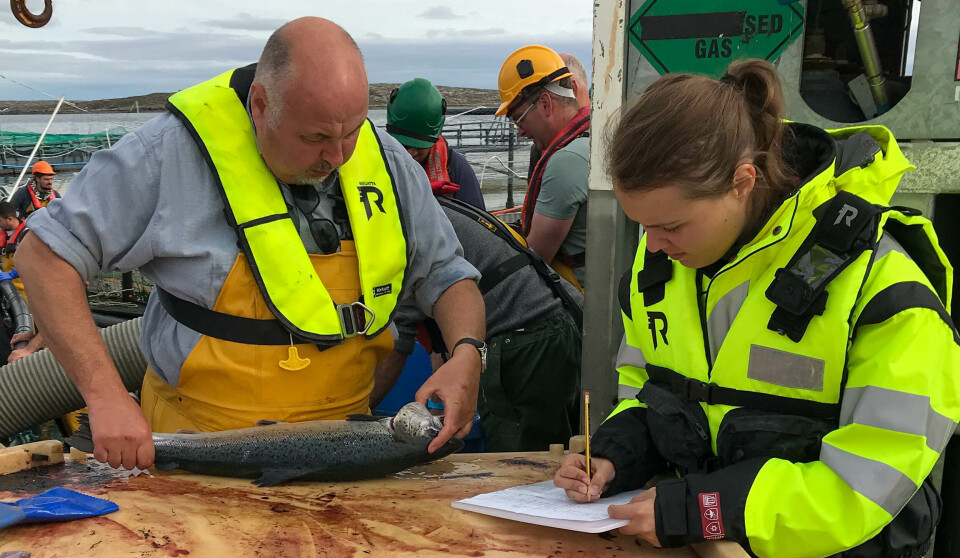 Her er Margit Ertresvåg Jakobsen i felten i sin tidligere jobb, og gjør forskning på avlusingsmetoder i Ectoremover-prosjektet. Her er hun avbildet sammen med Mark Powell, daglig leder i Marineholmen RASlab.