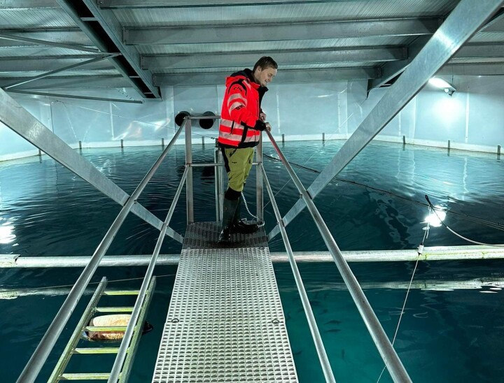 Satser tungt på økt smoltkapasitet