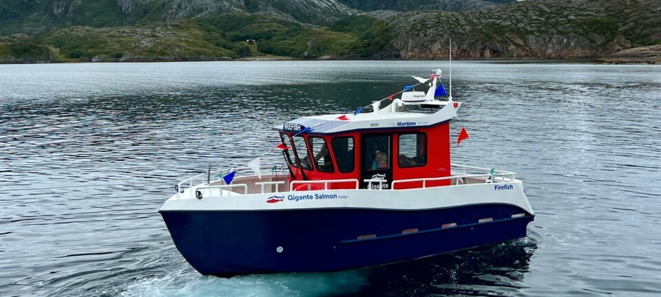 Gigante Salmons fartøy er nå døpt og har fått navnet «Firefish».