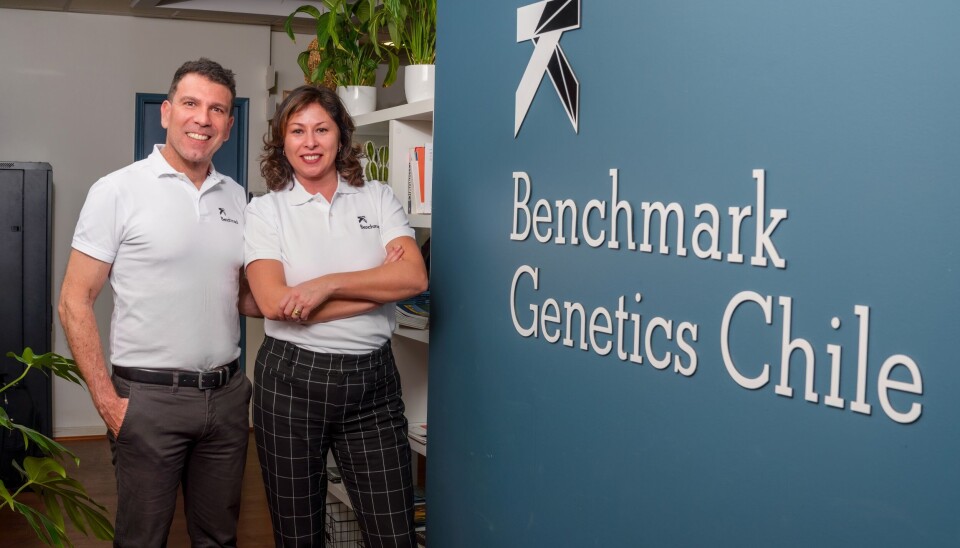 Pablo Mazo overlater roret i Chile til Bertha Contreras og tar karrieresteget videre i ny stilling i Norge.